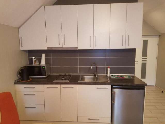 Апартаменты Birutės apartamentai Клайпеда-5
